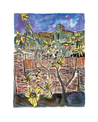 bdy-sunflower-2012